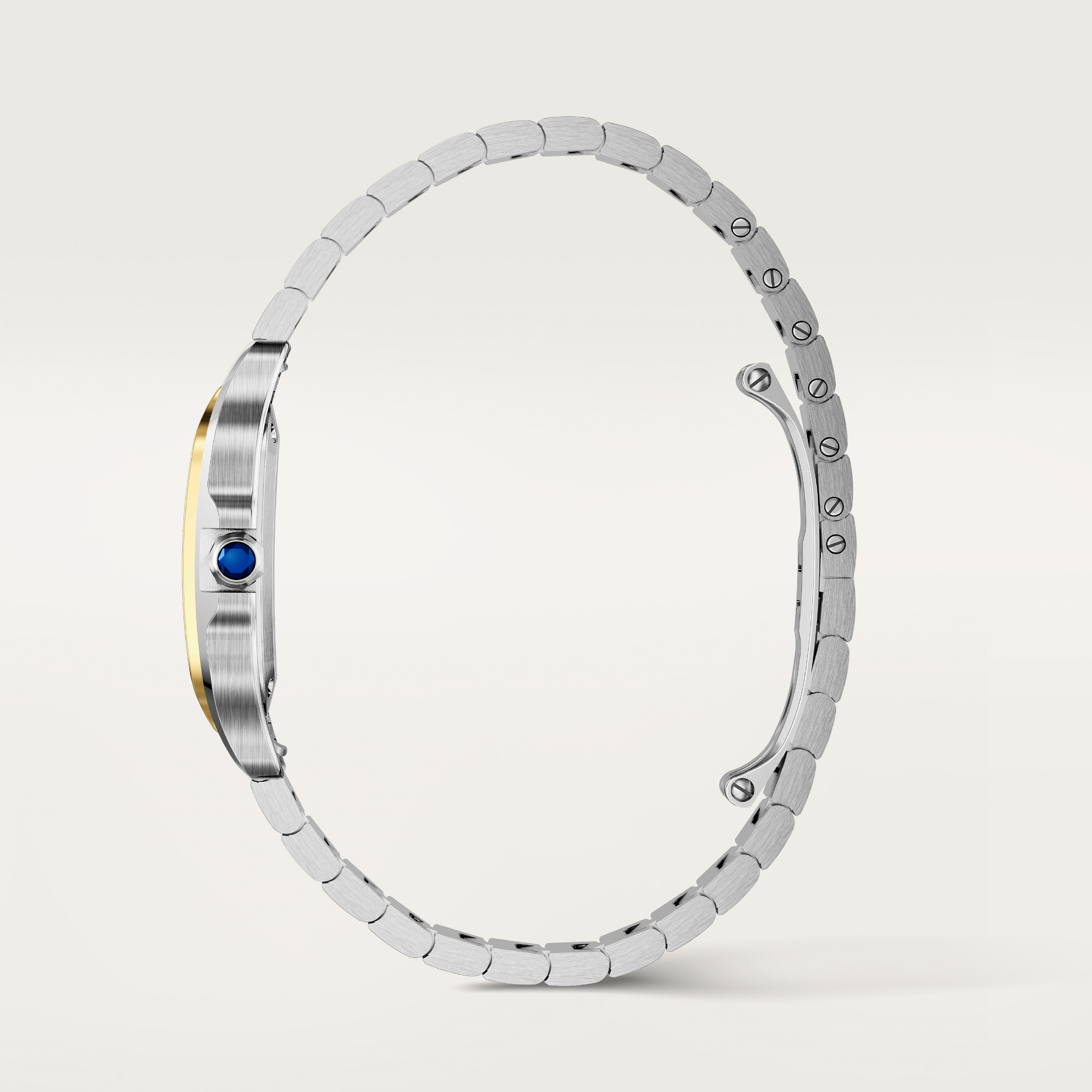 Santos de Cartier watch, image 5