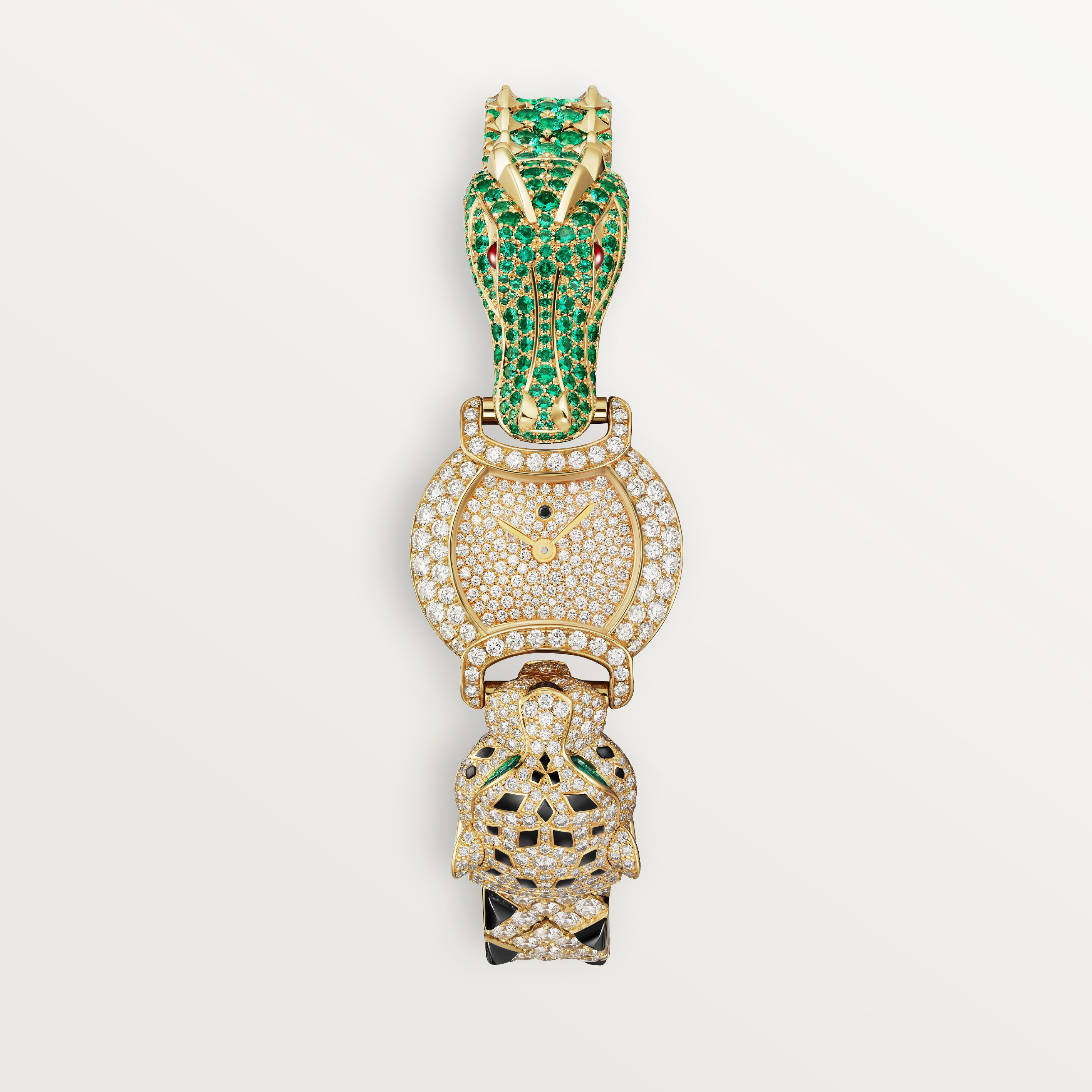 Indomptables de Cartier Watch