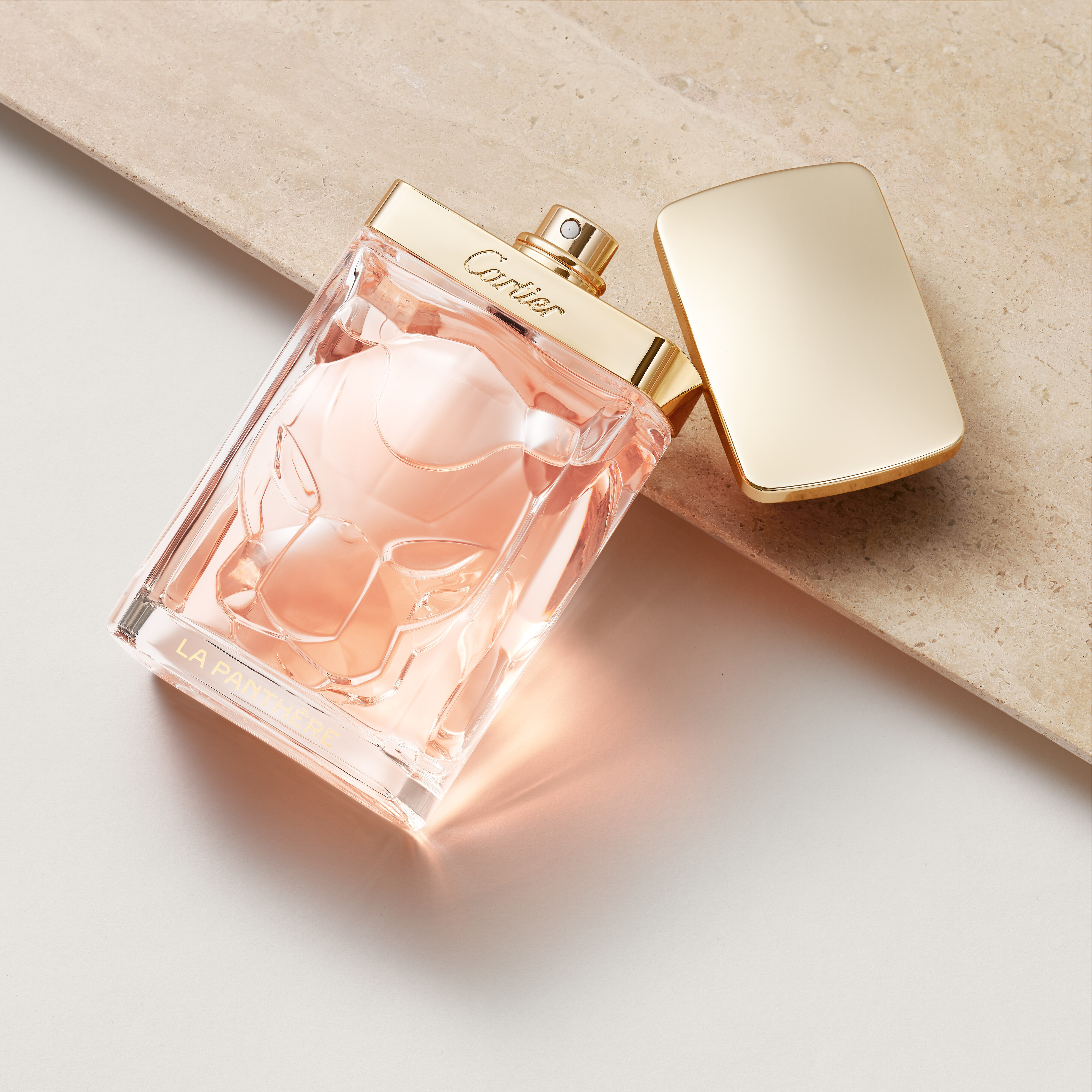 La Panth&egrave;re, image 5