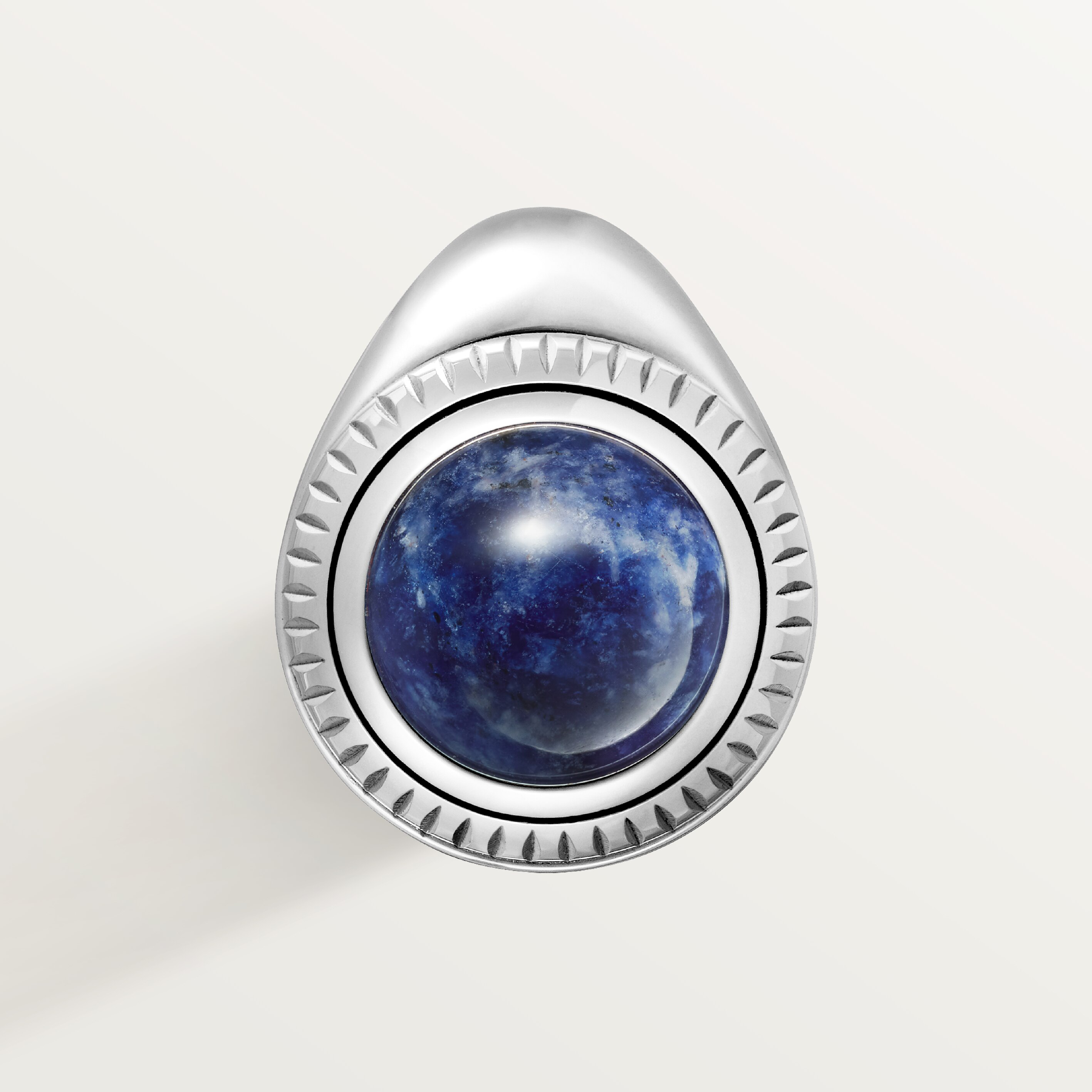 Santos de Cartier set, image 11