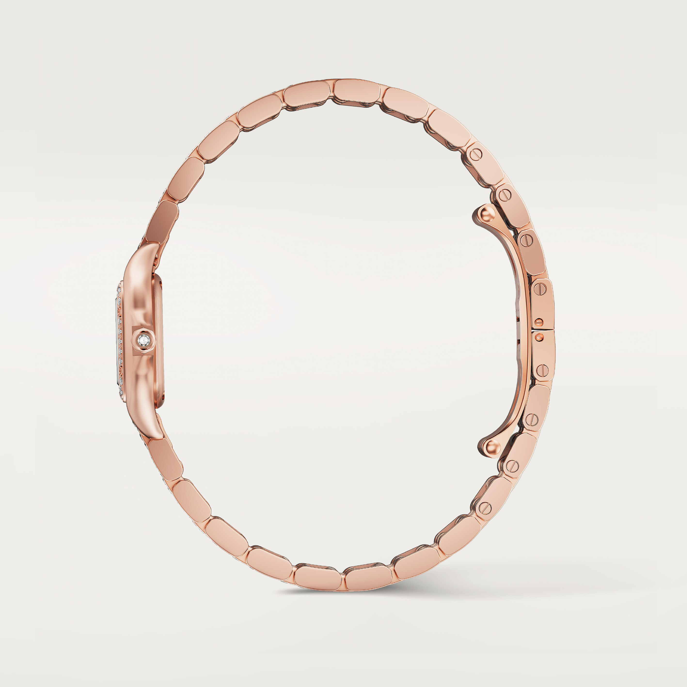 Panth&egrave;re de Cartier watch