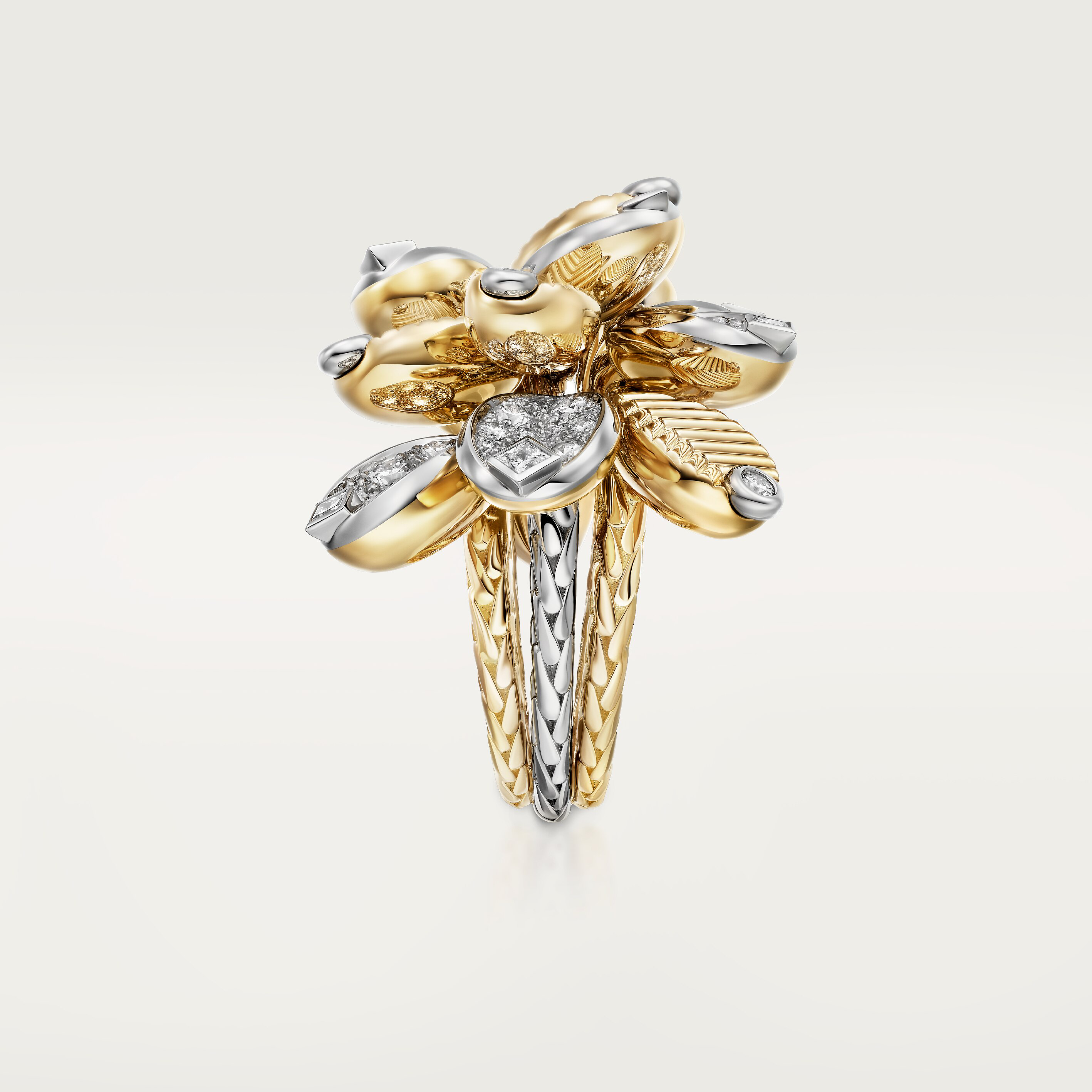 Grain de Caf&eacute; ring, semi-paved, image 6