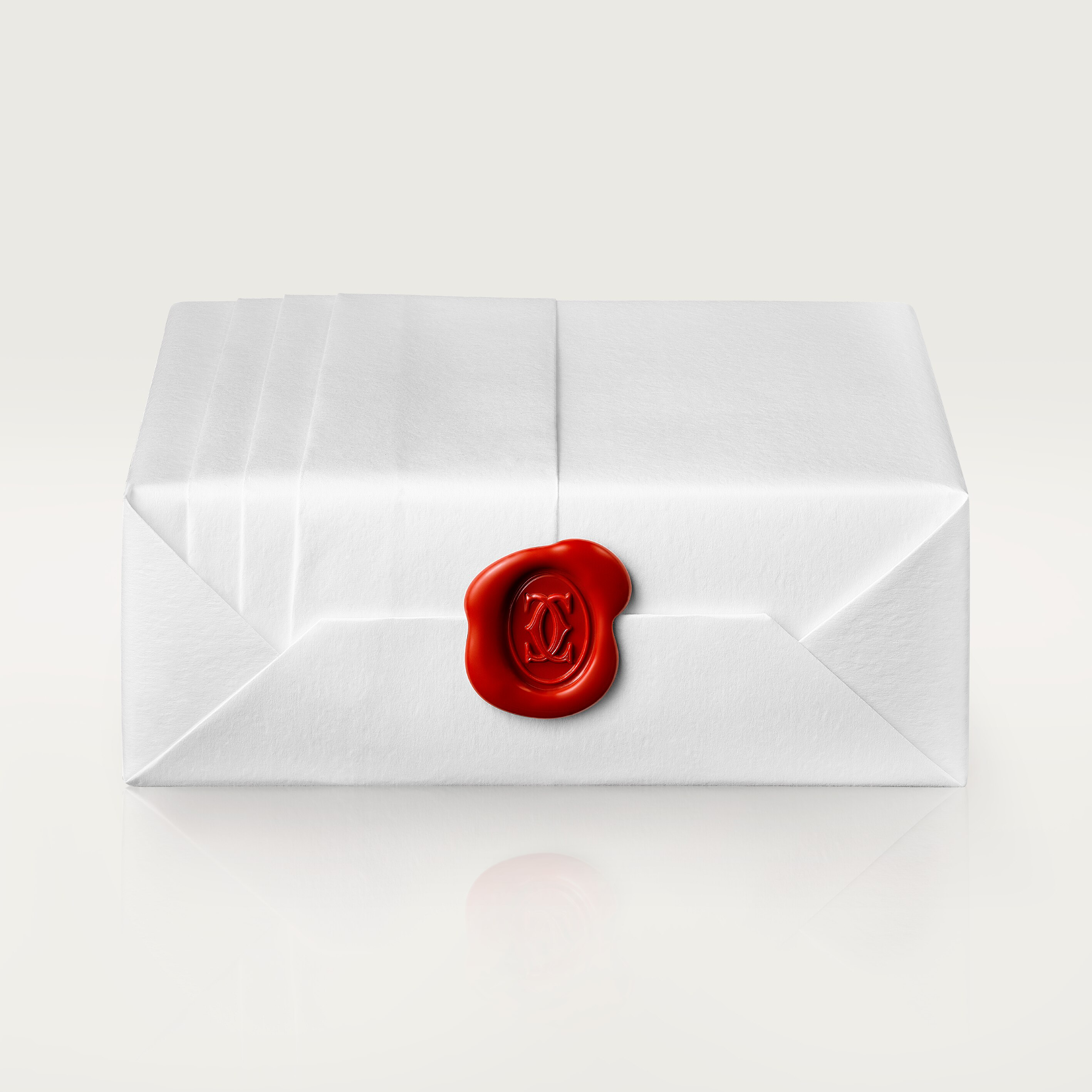 Juste un Clou long necklace, multiwear, extra-large model, image 9