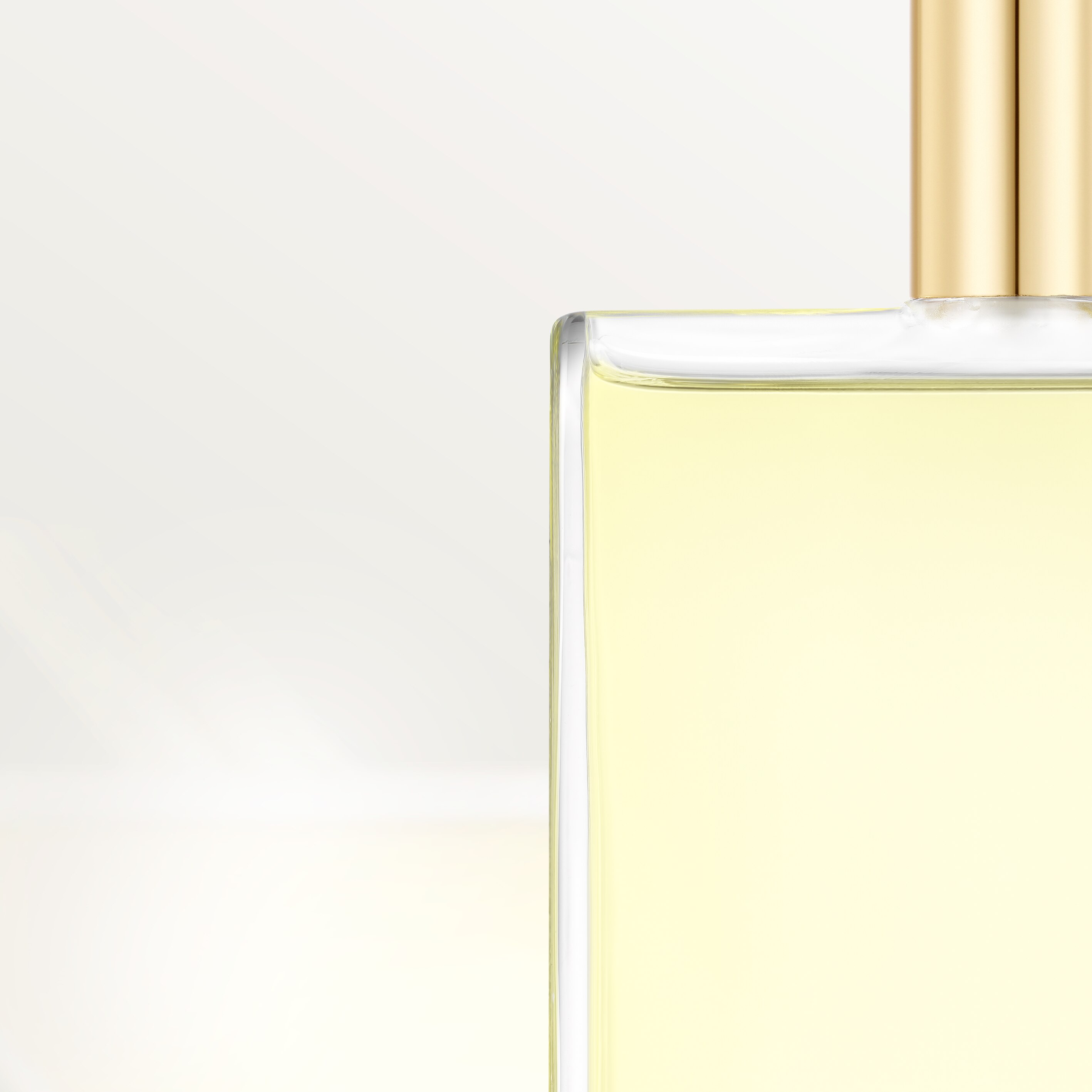 Les N&eacute;cessaires &agrave; Parfum Refills Rivi&egrave;res de Cartier All&eacute;gresse