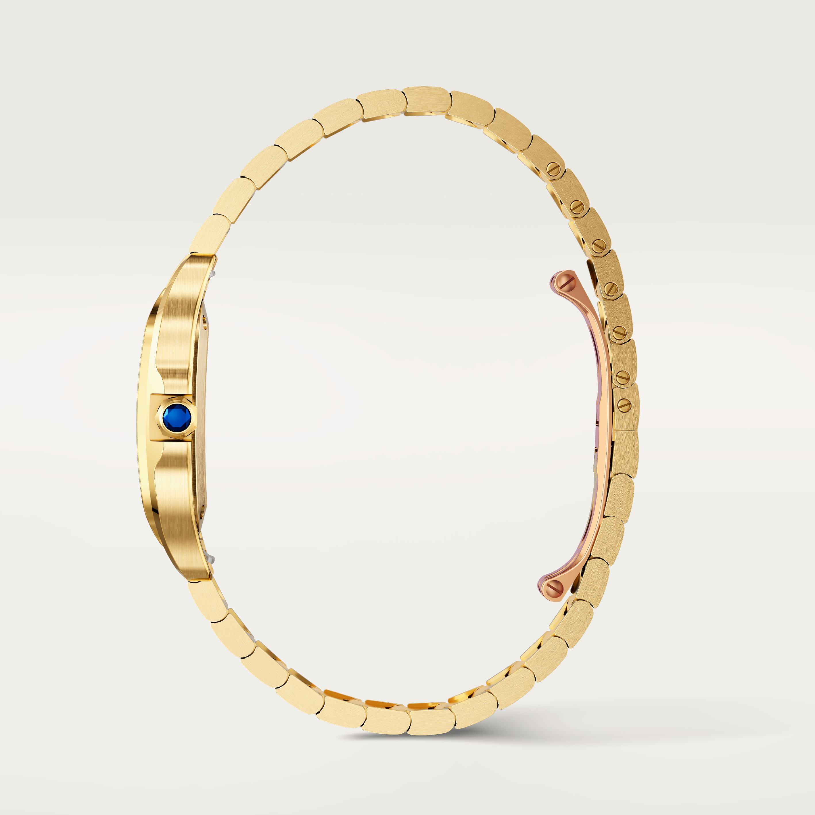 Santos de Cartier watch, image 6