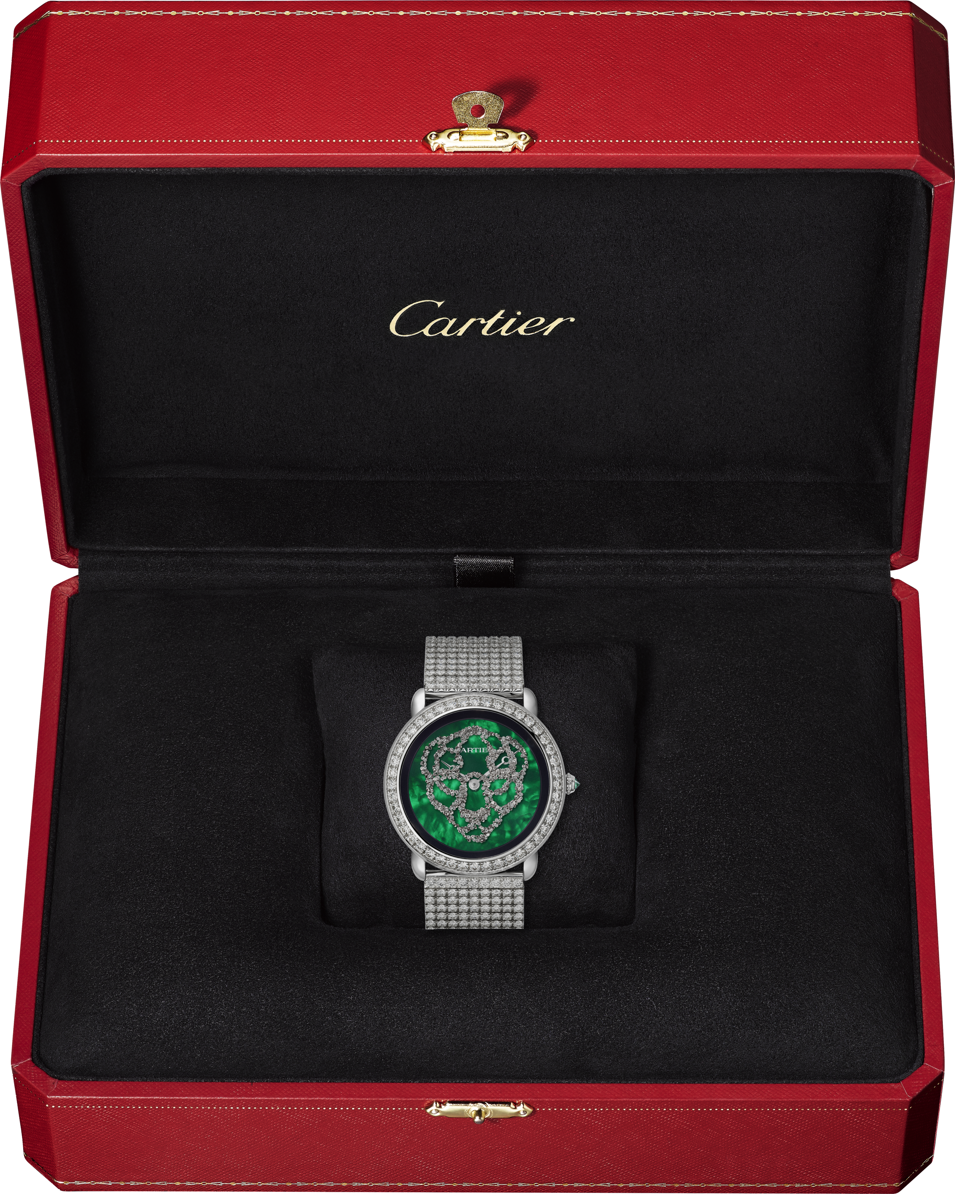 R&eacute;v&eacute;lation d'une Panth&egrave;re watch