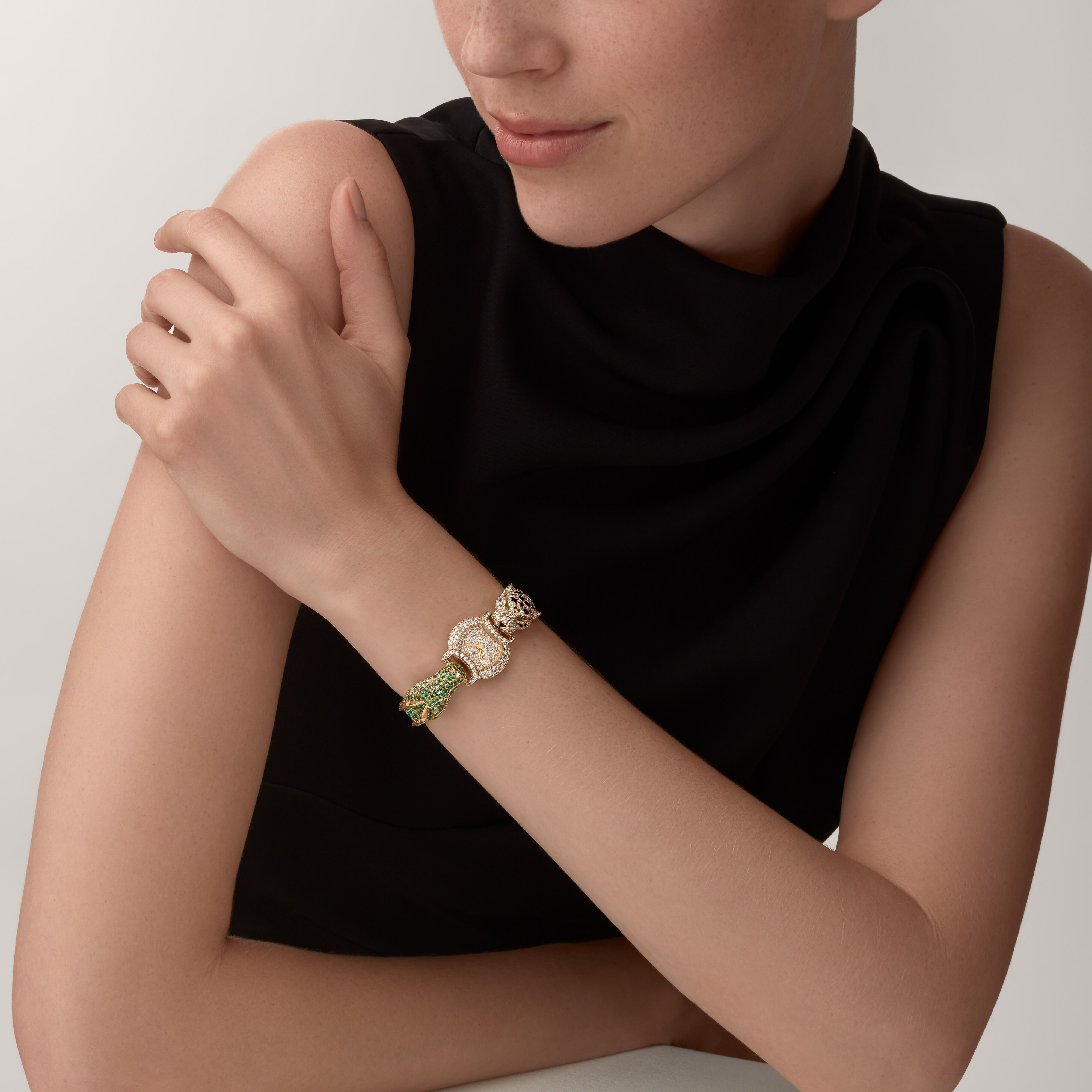 Indomptables de Cartier Watch