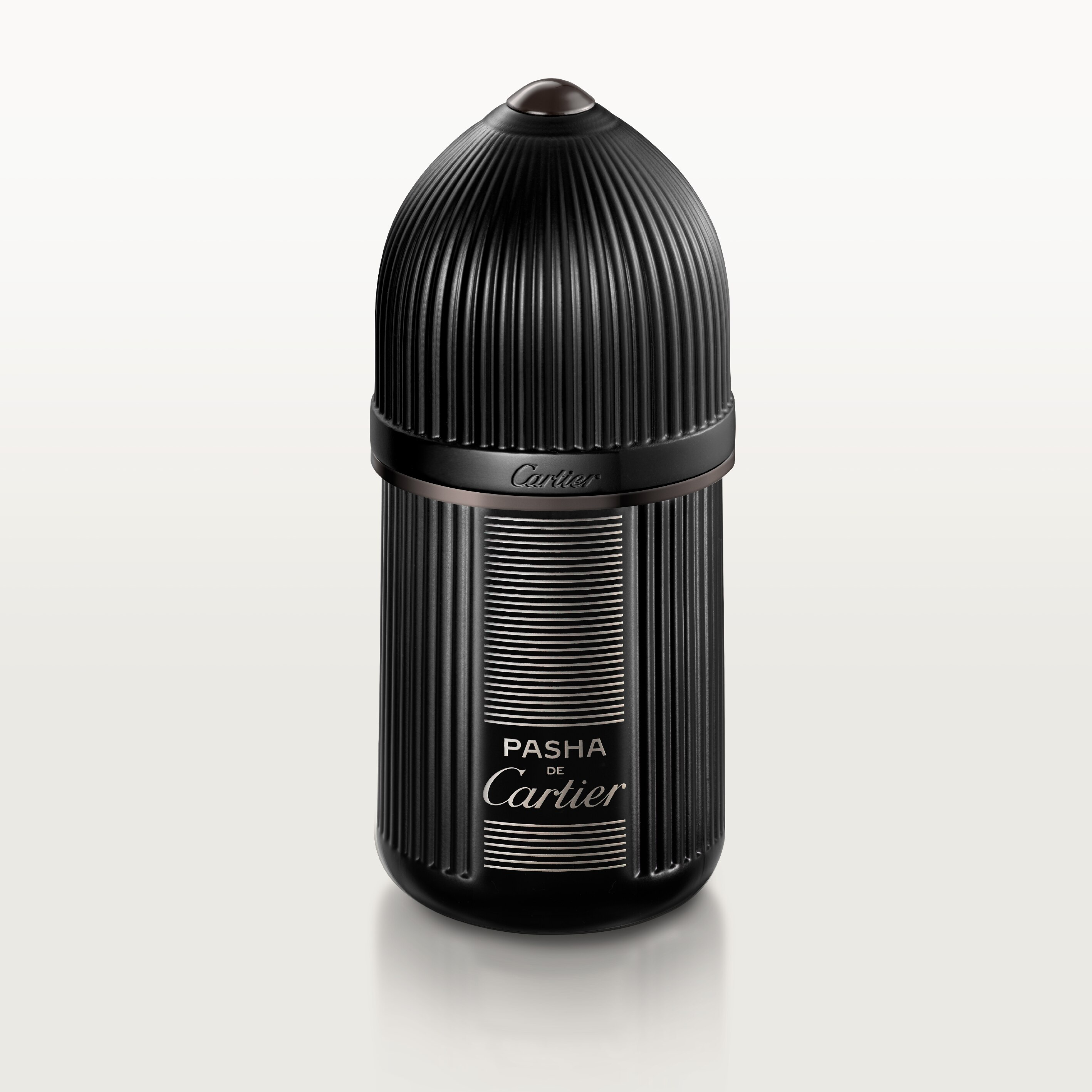 Pasha Noir Absolu Limited Edition