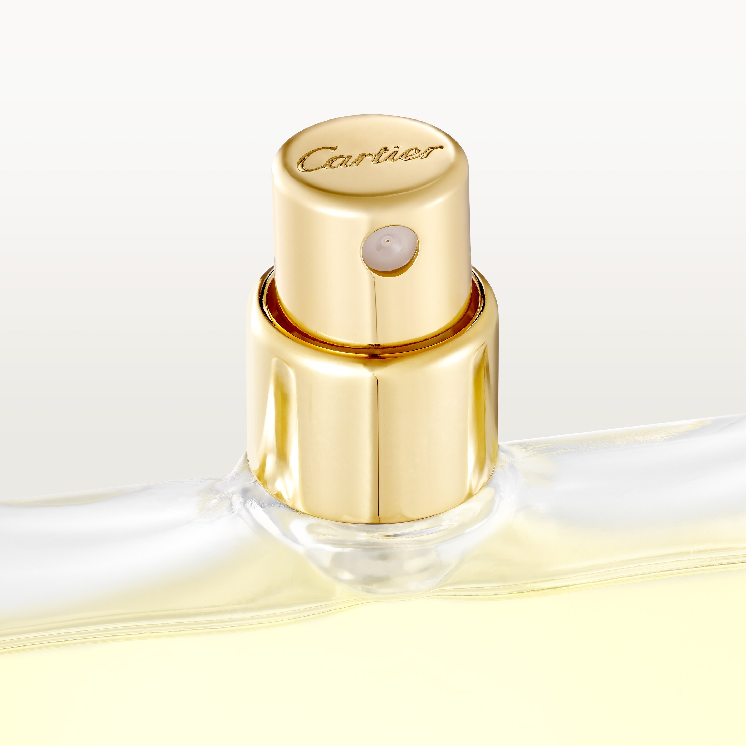 Les N&eacute;cessaires &agrave; Parfum Refills Rivi&egrave;res de Cartier Luxuriance